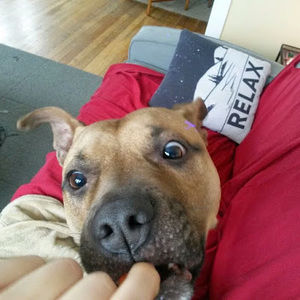 Meet your Posher, Jacki